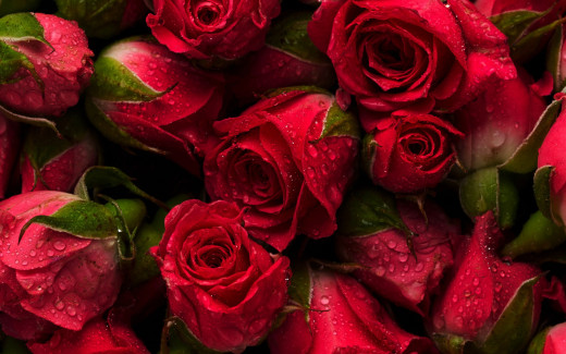 1326487 (a): :2560x1600